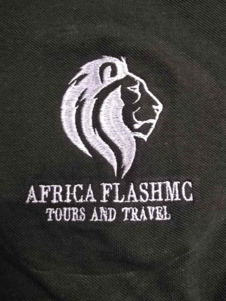 Africa flashmc logo
